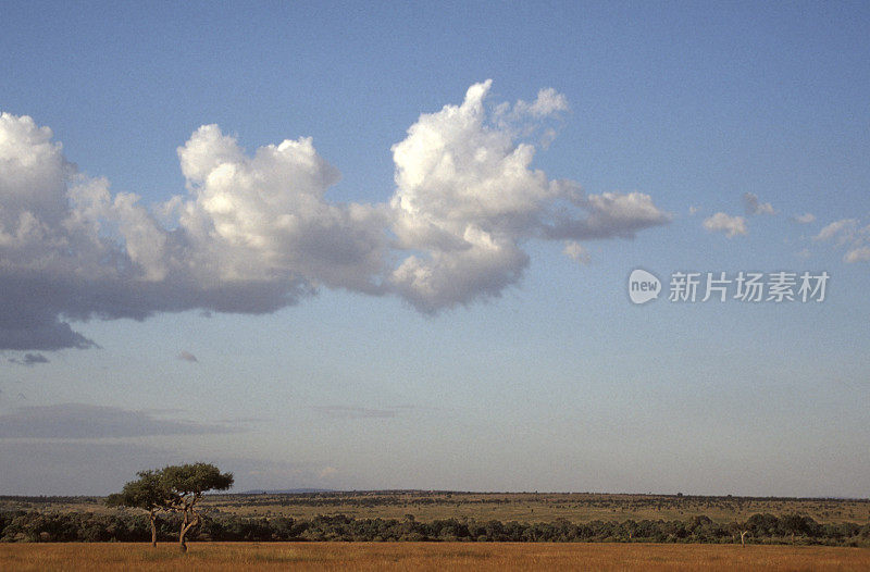 Under an African Sky (2)